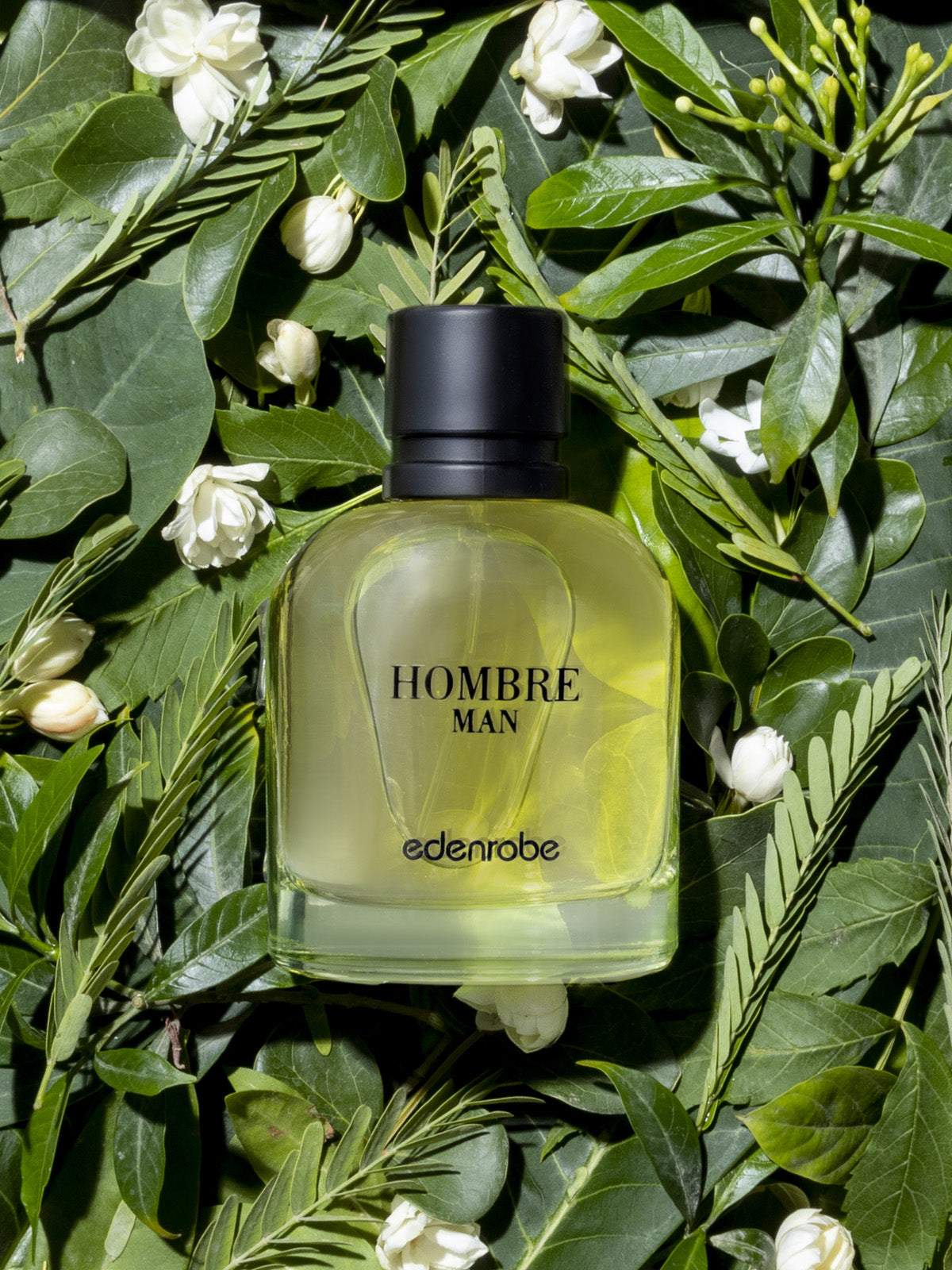 Edenrobe Mens Fragrance 100ml Ebmf Hombre